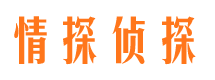 成华市私家侦探